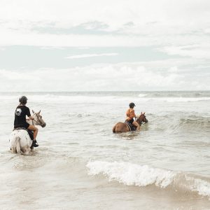 Zephyr Horses Byron Bay