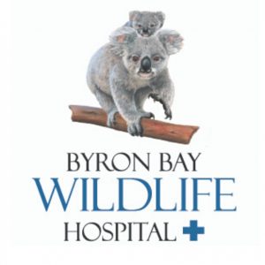 byronbaywildlifehospital logo