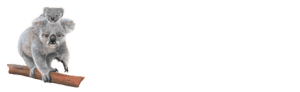 Byron Bay Mobile Wildlife Hospital